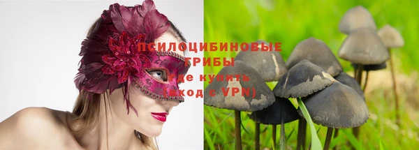 тгк Покров