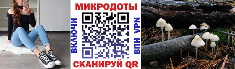 Галлюциногенные грибы прущие грибы Галич